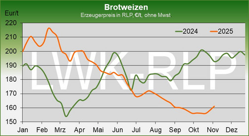 Marktbericht Marktbericht