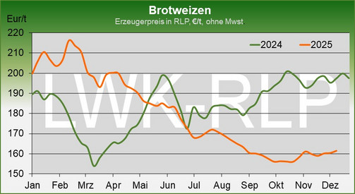 Marktbericht Marktbericht