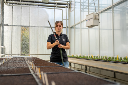 Ausbildung