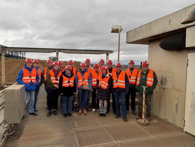 Schilfglasflügel-Zikade: Landwirtschaft fordert politische Priorisierung von Maßnahmen Schilfglasflügel-Zikade: Landwirtschaft fordert politische Priorisierung von Maßnahmen