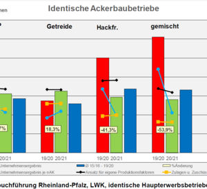 Identische Haupterwerbsbetriebe