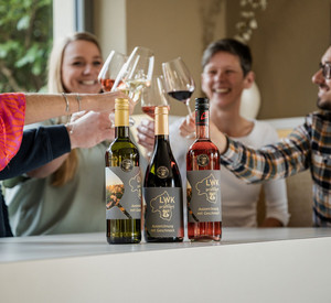 Fröhliche Wein-Runde.