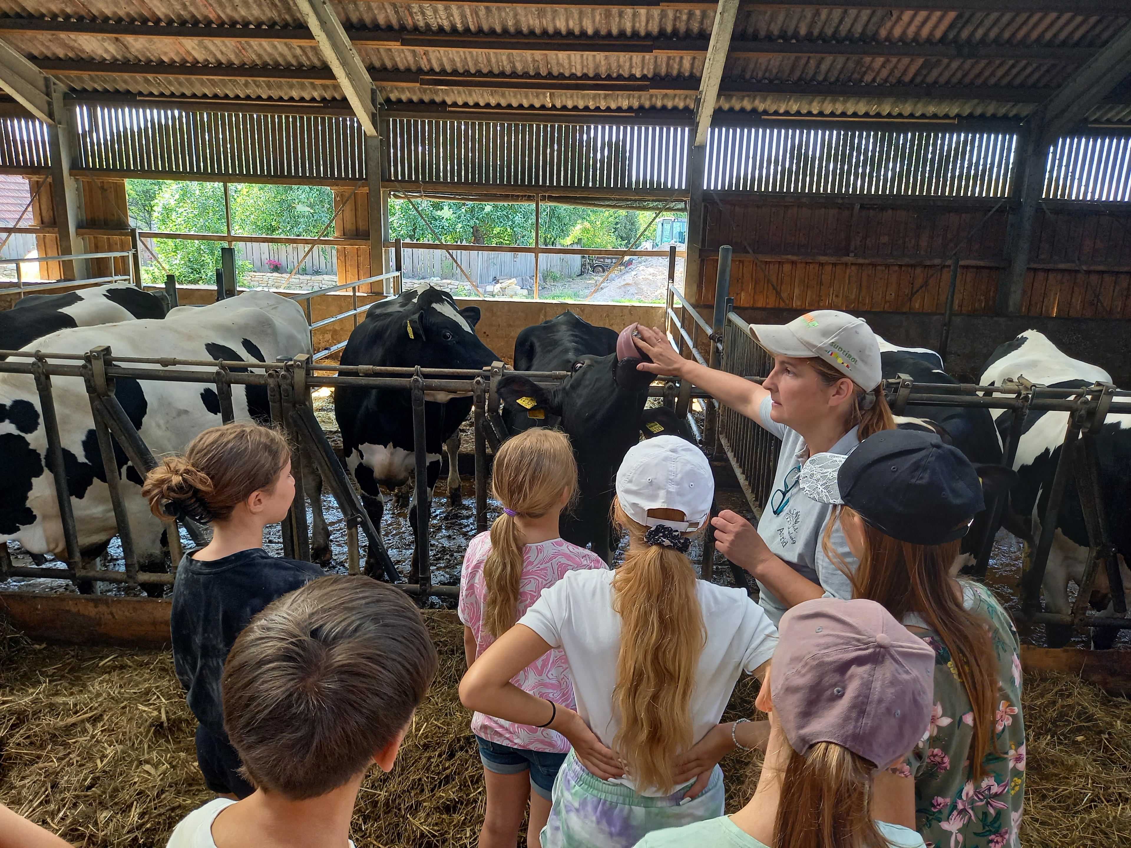 Kinder im Kuhstall