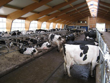 Milchmarkt aktuell – Milchpreise September 2025 Milchmarkt aktuell – Milchpreise September 2025