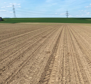 Ackerfläche Einsaat Ackerfläche mit Fahrspuren. Im Hintergrund Horizont mit Stromleitung