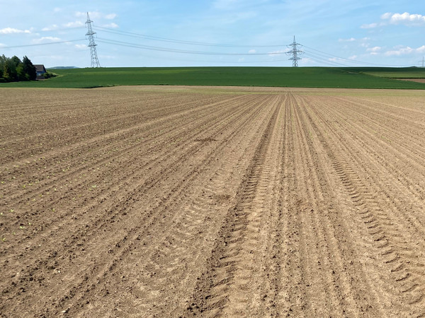 Einsaat Ackerfläche mit Fahrspuren. Im Hintergrund Horizont mit Stromleitung