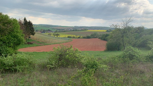 Fachinfos
