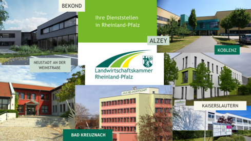 Dienststellen und Zuständigkeiten