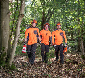 Drei junge Forstwirte laufen durch den schönen Wald.