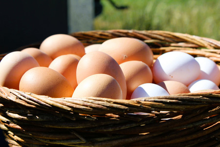 Korb, gefüllt mit Eiern
