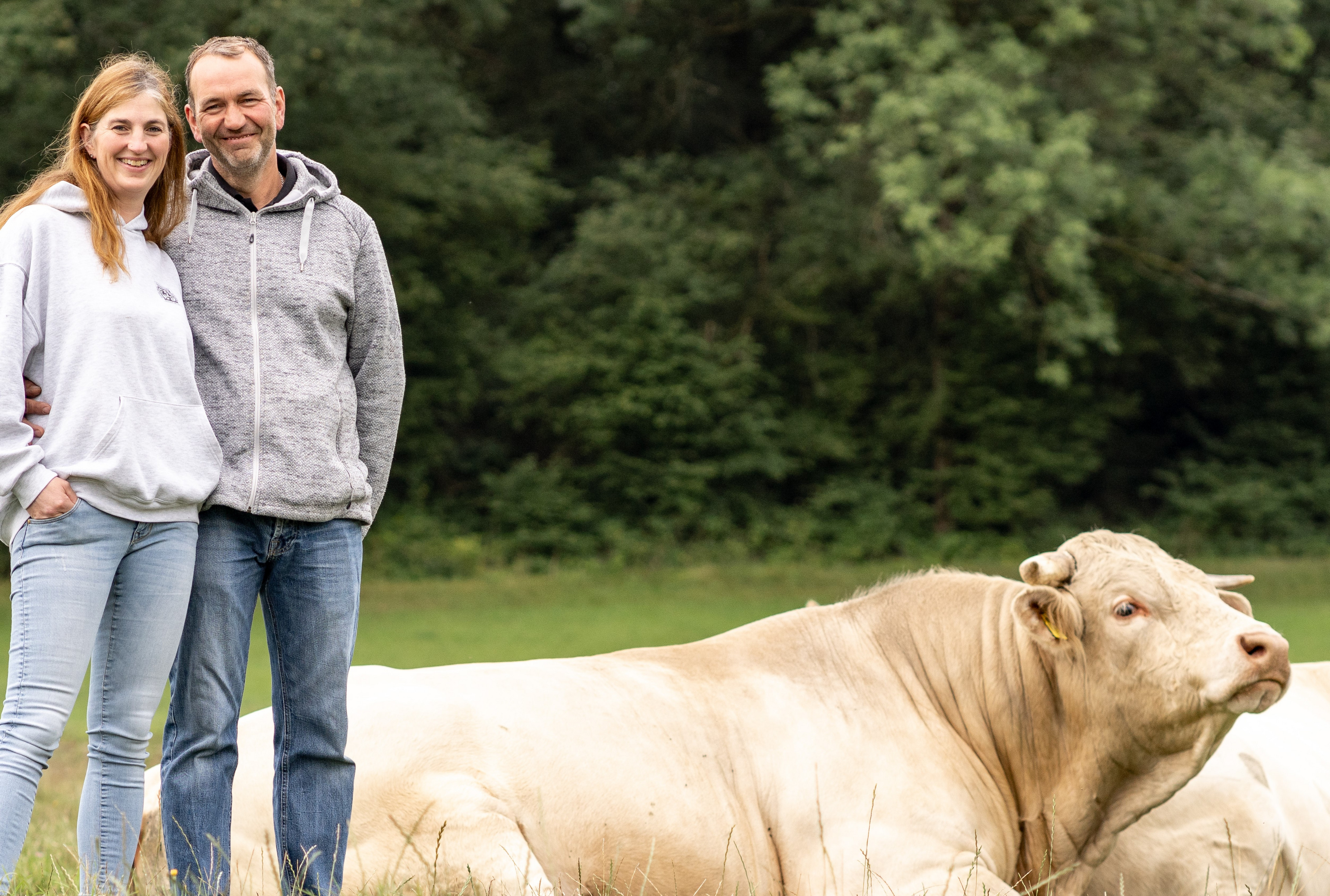 Familie Hasenauer und ihre Charolais-Kühe.