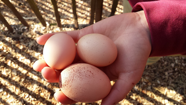 Mehr als ein Blick hinter die Kulissen 
