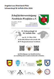 32. Schwarzkopf- und 30. Suffolk-Eliteauktion am 18./19. März 2026 in Krefeld 32. Schwarzkopf- und 30. Suffolk-Eliteauktion am 18./19. März 2026 in Krefeld