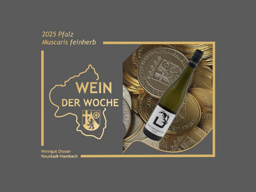 „2025 Muscaris feinherb aus der Pfalz"