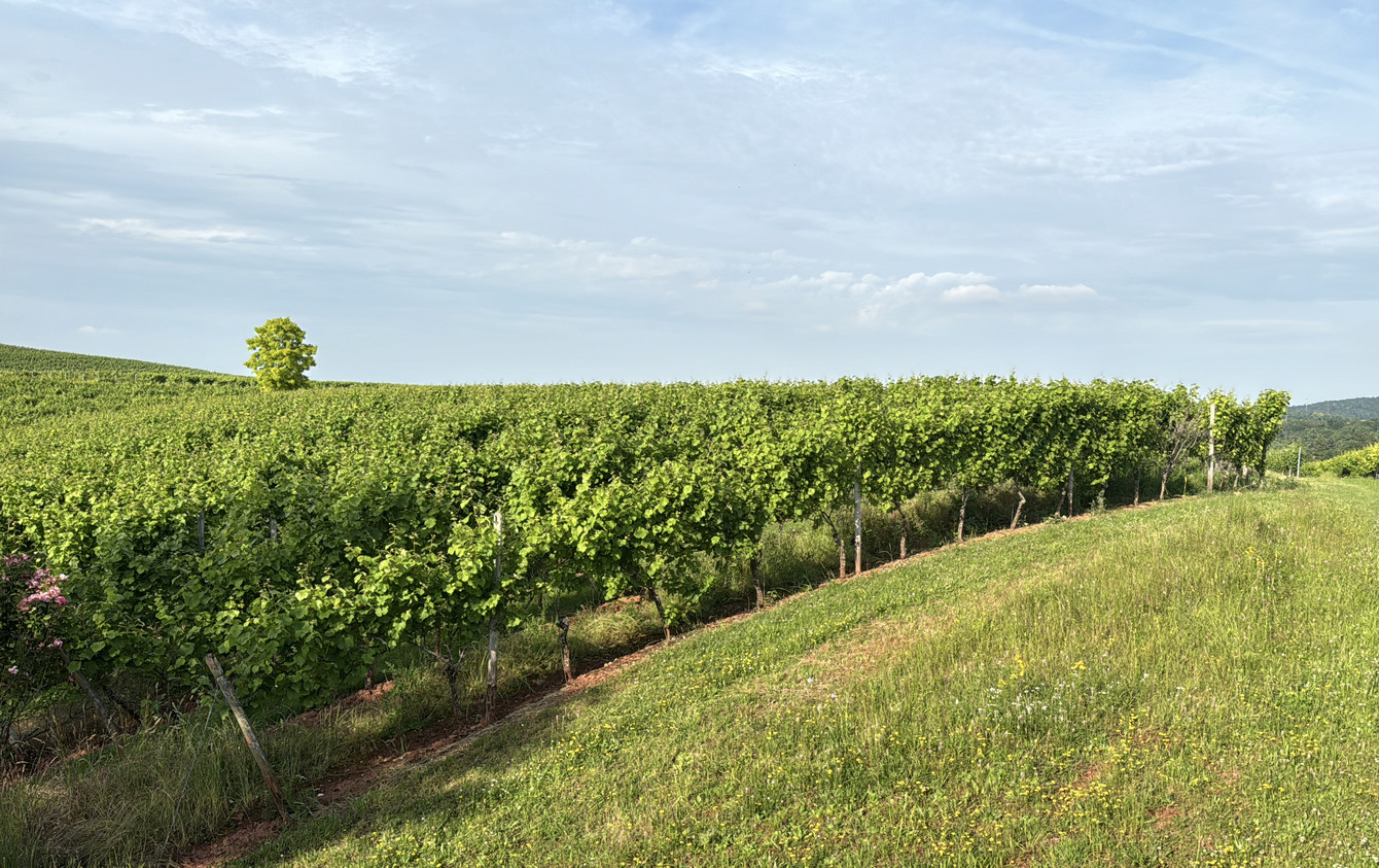Startseite . Landwirtschaftskammer Rheinland-Pfalz