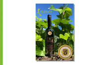 Der Wein der Woche 2021 Kalenderwoche 26 stammt vom Weingut Feldmann aus Armsheim im Wiesbachtal