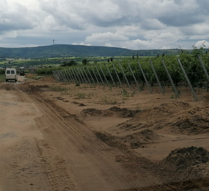 Durch Regen verursachte Erdmassen verschlammen einen Wirtschafstweg im Weinberg
