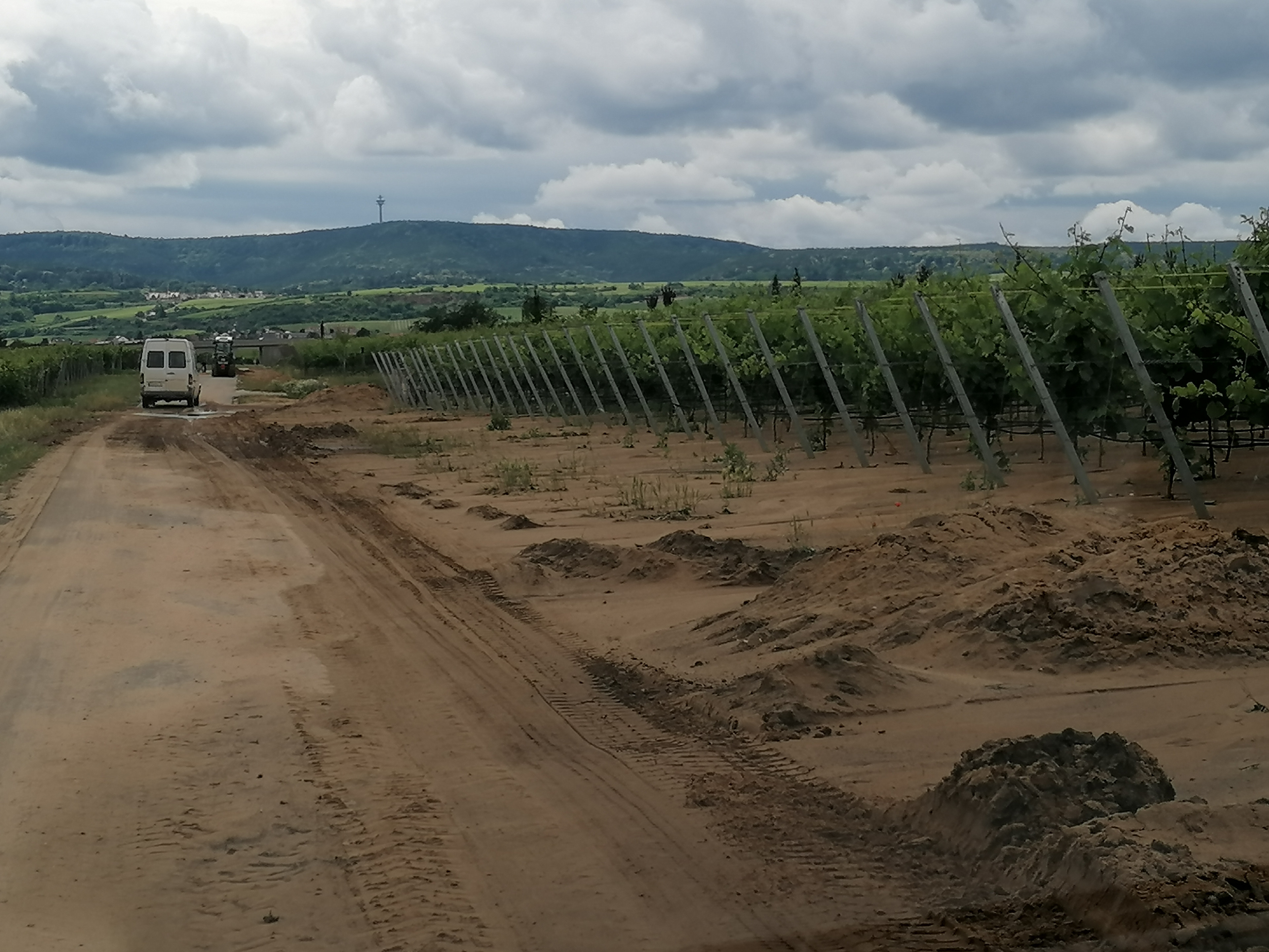 Durch Regen verursachte Erdmassen verschlammen einen Wirtschafstweg im Weinberg
