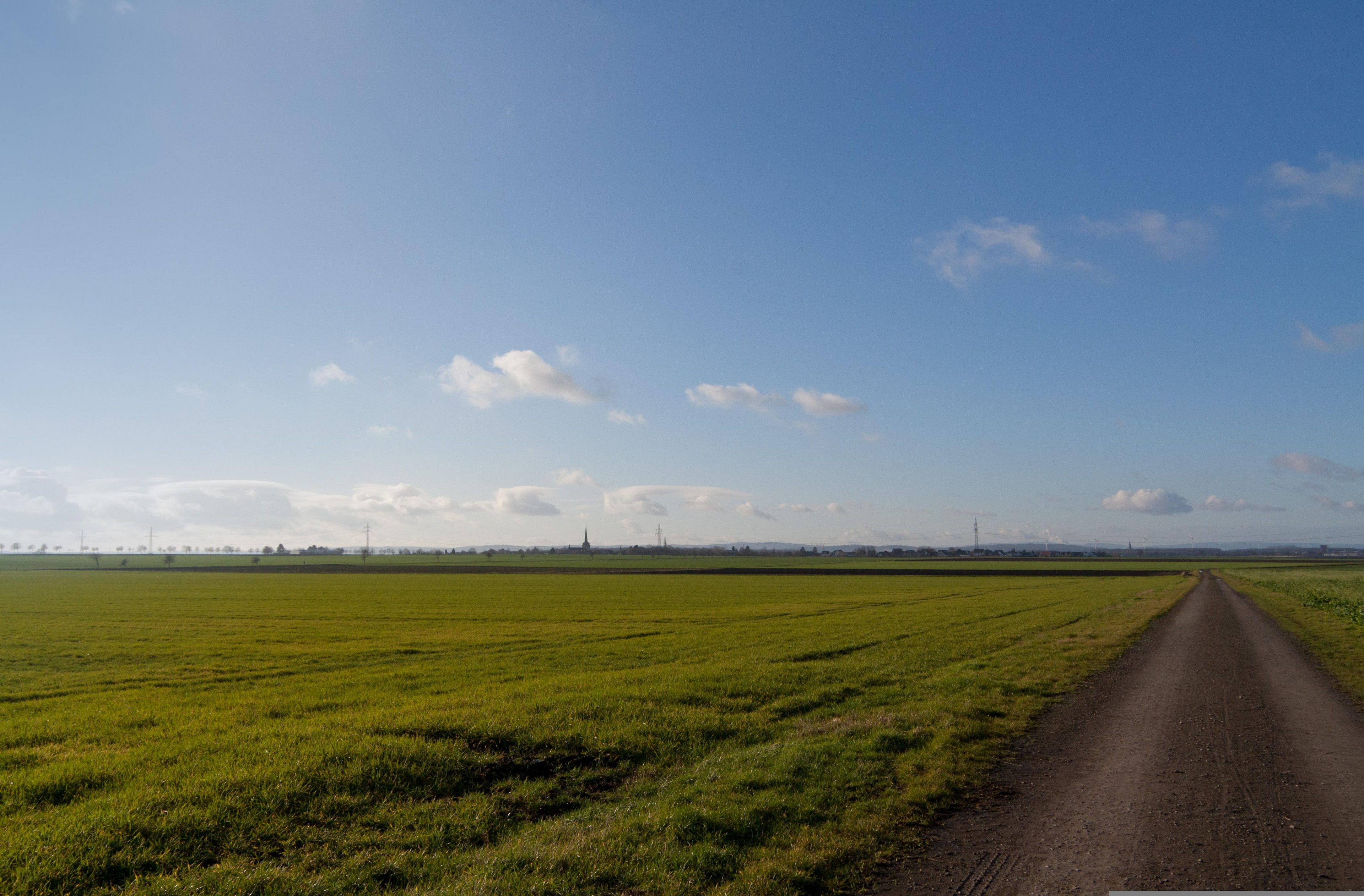 Grünes Feld