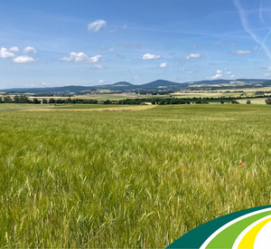 Feld mit Logo