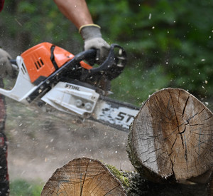 Mann sägt Holzstamm