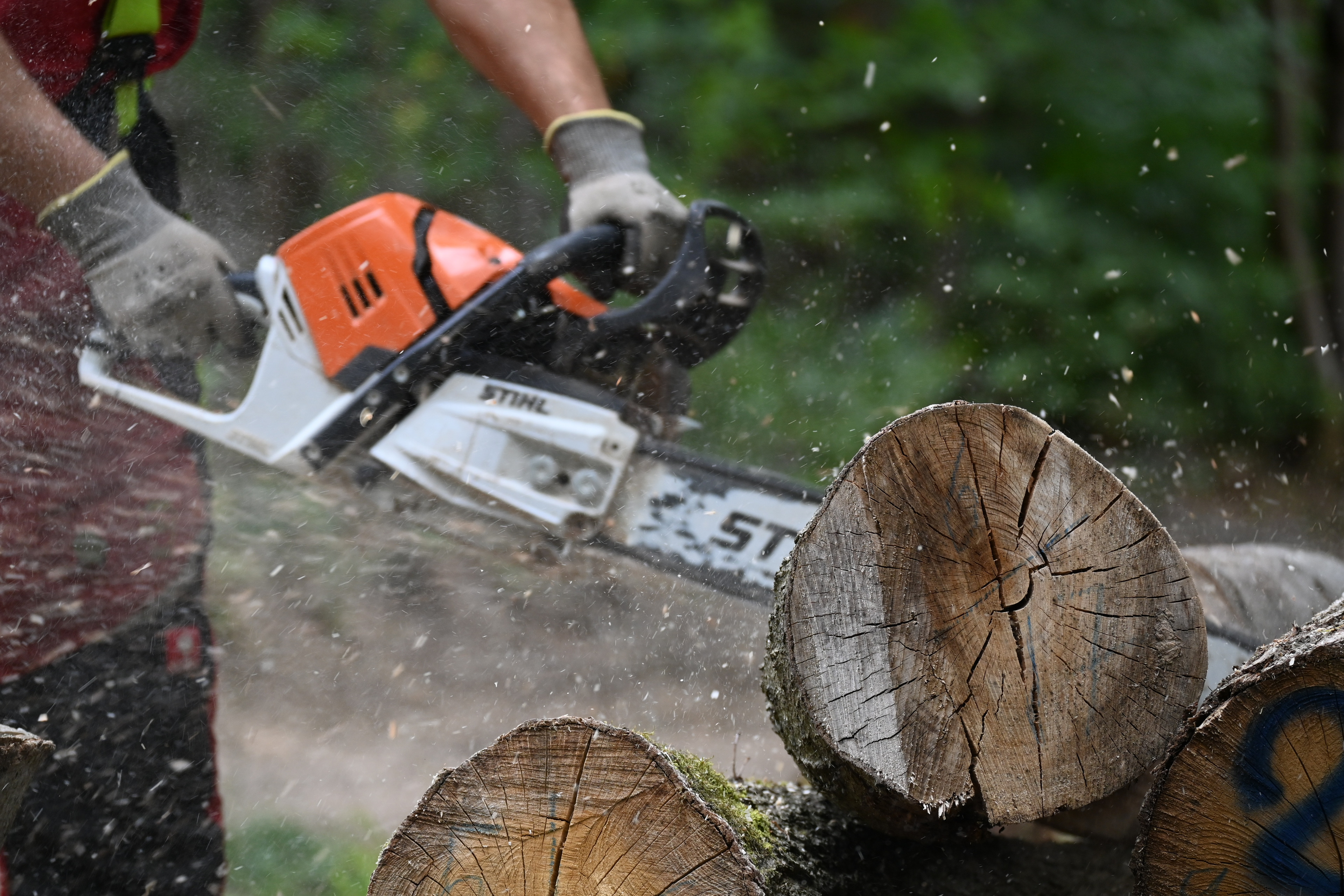 Mann sägt Holzstamm