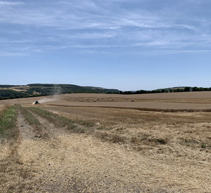Landwirtschaftliche Fläche zur Erntezeit