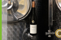 Der Wein der Woche 2021 Kalenderwoche 7 stammt vom Weingut Scholisch aus Leiwen.