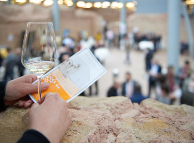 Das Weinforum Mosel 2023 findet nicht statt