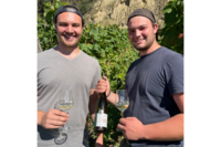 2022 Ahr Riesling Qualitätswein trocken vom Weingut Lingen aus Bad Neuenahr-Ahrweiler