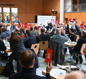 Abstimmung