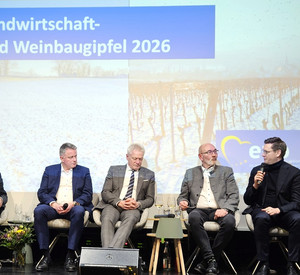 Podiumsdiskussion im Querformat