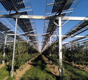 Agri- PV kann als duales Landnutzungskonzept Landwirten eine weiteres Standbein im Betrieb bieten.
