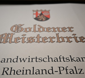 Urkunde