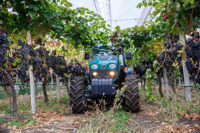 Beispielbild: Schmalspurtraktor in Rebzeile