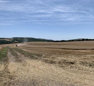 Mähdrescher