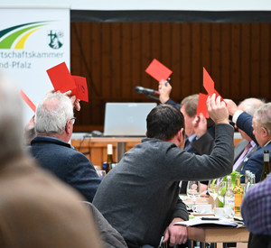 Abstimmung bei der Vollversammlung.