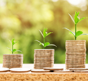 Geld und Pflanzen wachsen