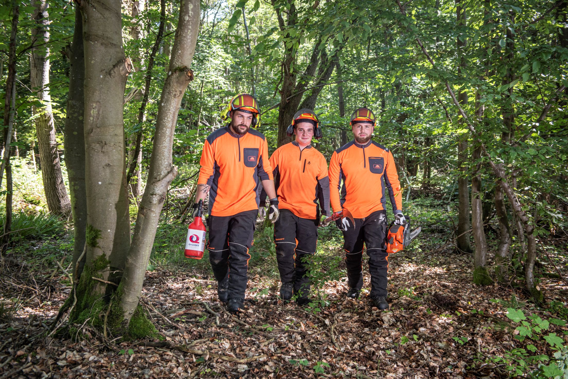 Drei junge Forstwirte laufen durch den schönen Wald.