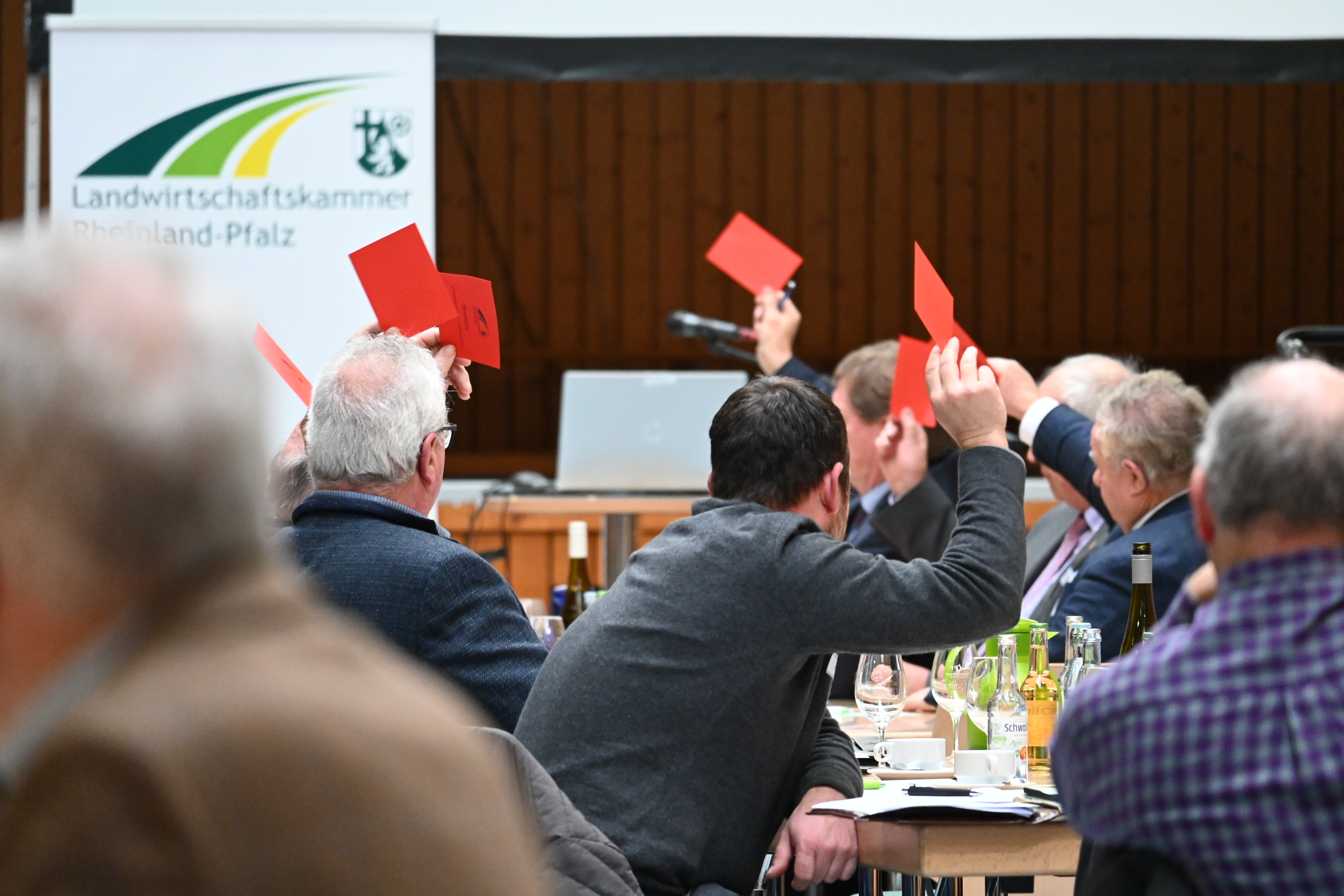 Abstimmung bei der Vollversammlung.